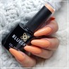 Bluesky DC 107 SUNGLOW hibridinis lakas 10ml