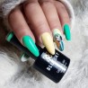 "Bluesky" hibridinis lakas A84 AQUA MARINE 10ml 10ml PASTELINĖ ŽALIA
