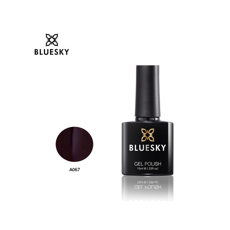 Bluesky hibridinis lakas A67 10ml Tamsiai violetinės dienos 10ml
