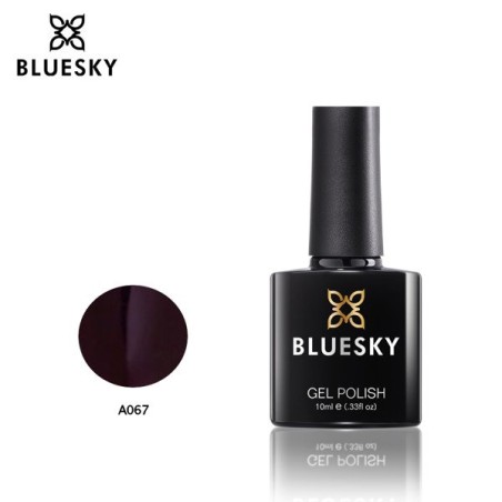 Bluesky hibridinis lakas A67 10ml Tamsiai violetinės dienos 10ml